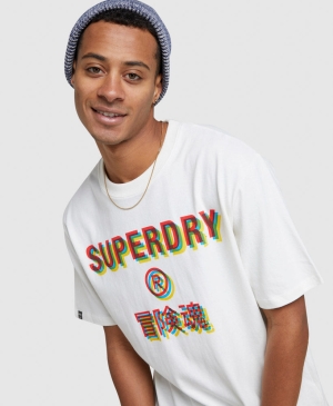 Superdry Essential Tee Stříbrné | 581039-AFP