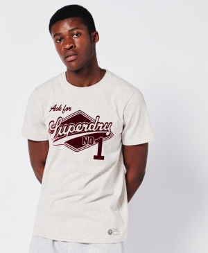 Superdry Essential Tee Zelene | 582360-QEN