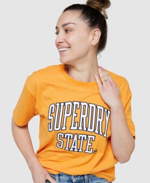 Superdry Vintage Logo Embroidered Oversized Šedé | 513948-YKJ