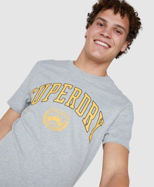 Superdry Vintage Relaxed Ringer Tee Neutrals | 970125-XHT